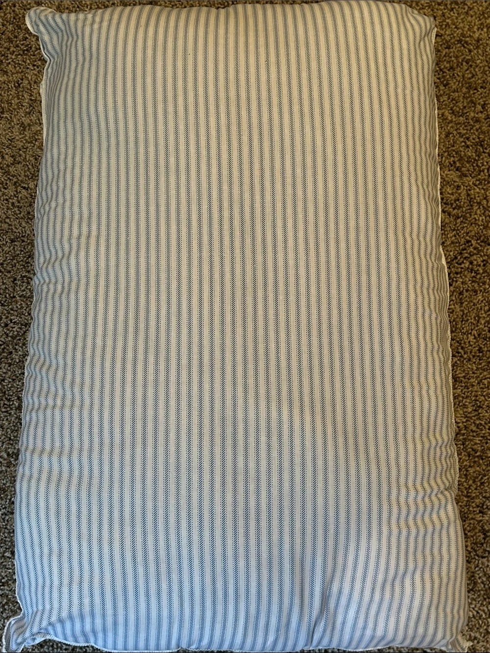 Hollander Live Comfortably Pillows 20x28 - Standard/Queen Set of 2